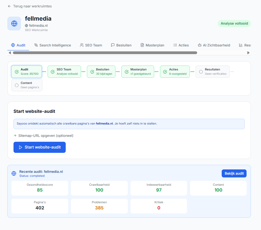 SAYOOO — SEO-werkruimte: Van audit naar besluiten en acties